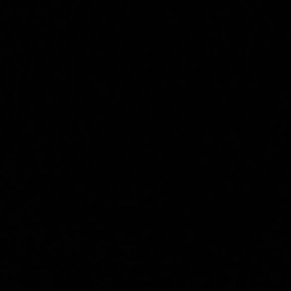 Meet your Posher, Neshelle - Picture 1 of 1